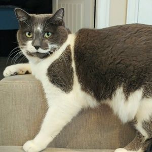 Meet your Posher, Jordana